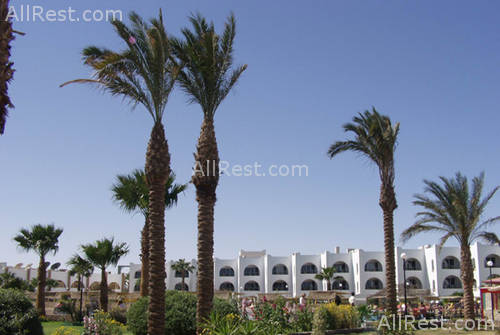 Arabia Beach Resort 15